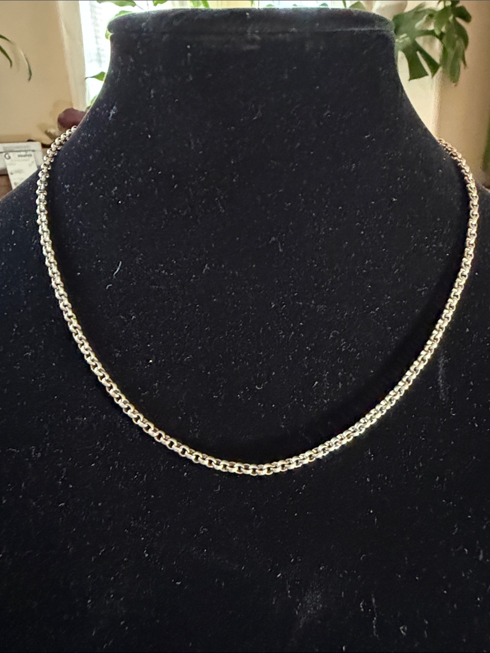 Delicate silver Women's Chain Necklace